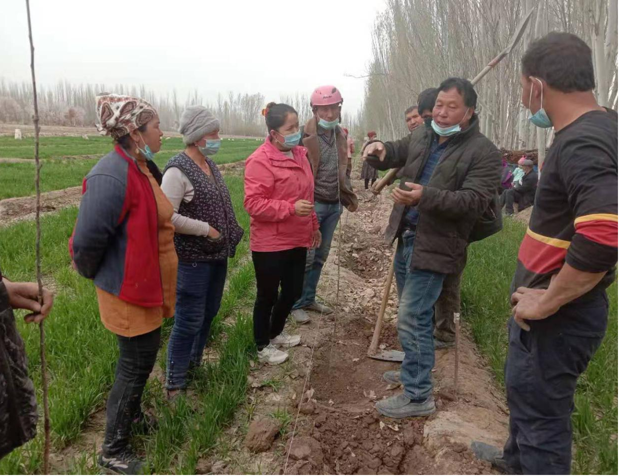 经过七天的长途跋涉,来到了这个名叫新疆喀什疏勒县巴合齐乡的地方