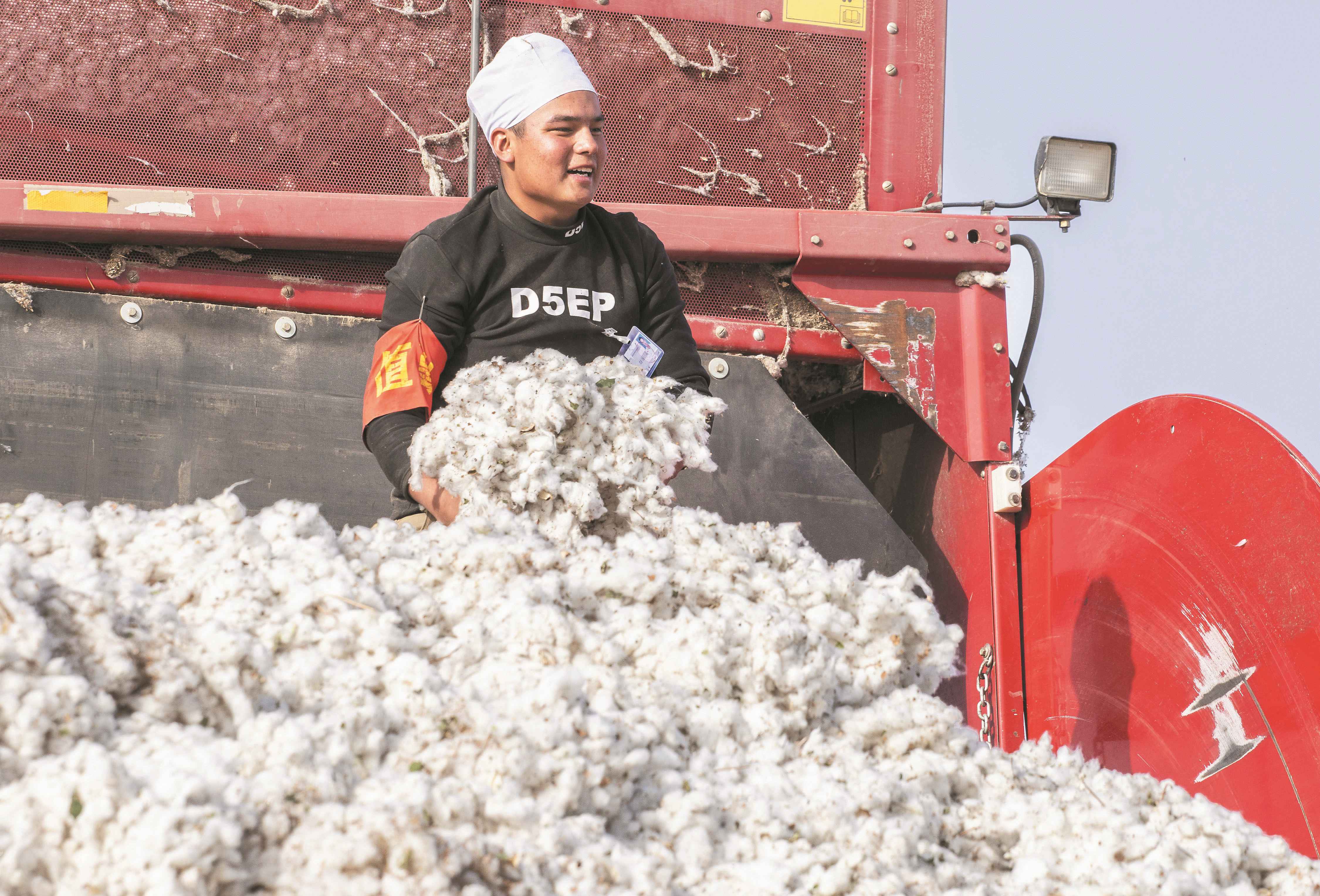 师市机械采棉忙