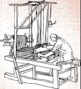 新疆棉花的"前世今生"了解一下