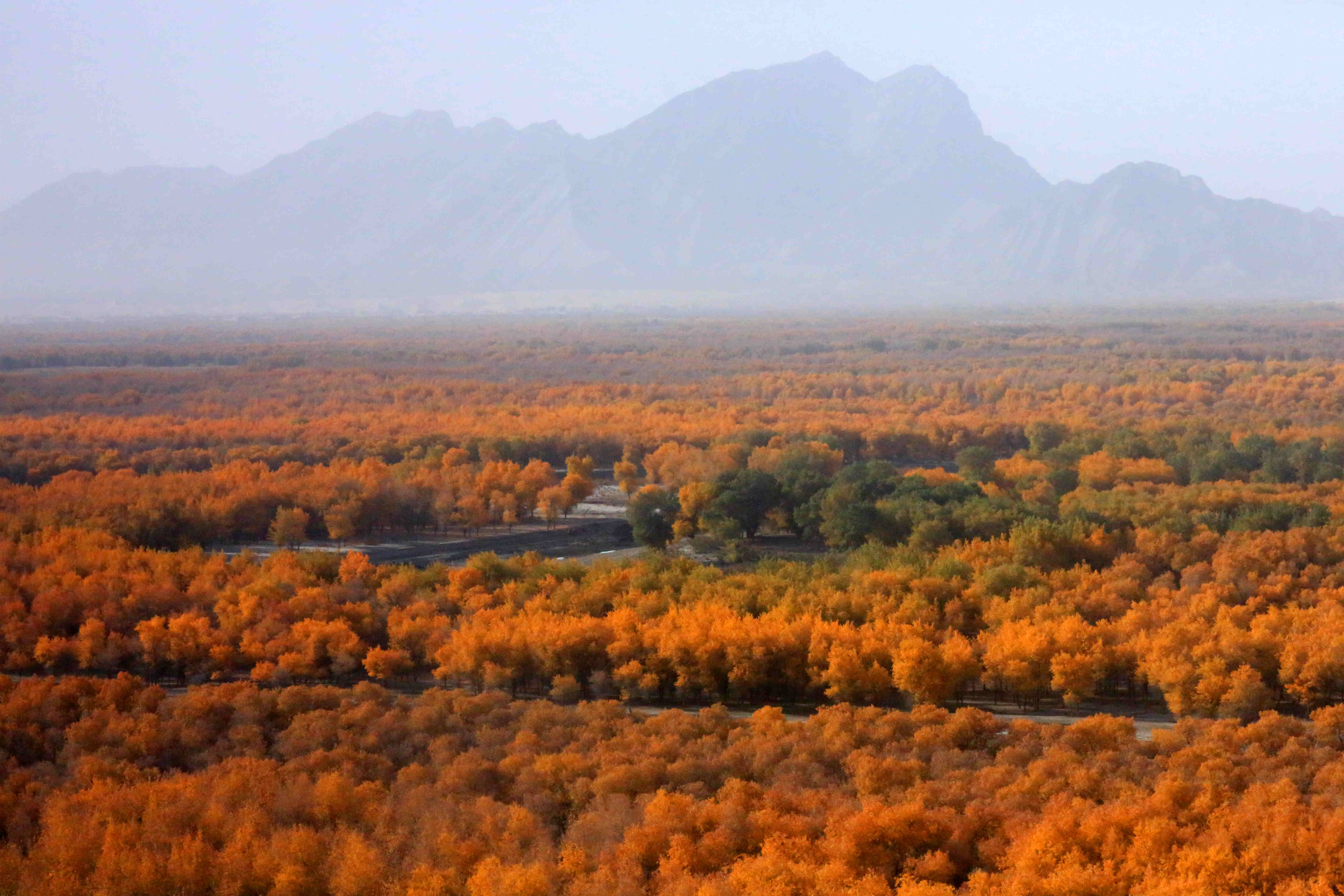 新疆图木舒克市照片图片