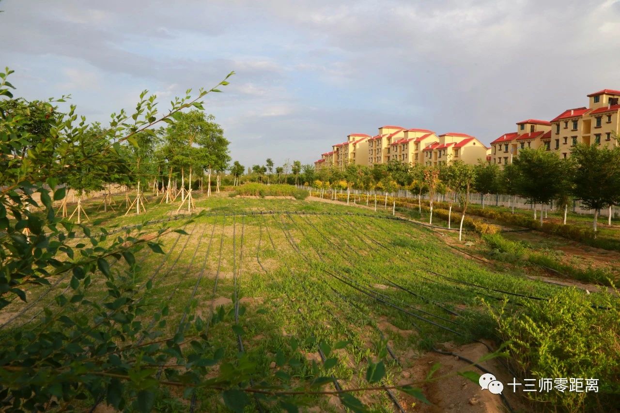 2020年,黄田农场养老保险,医疗保险实现全覆盖.新增就业420人.