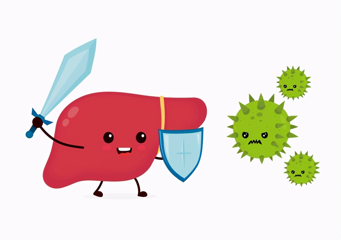 注意乙肝携带者不是乙肝患者别再傻傻分不清楚了